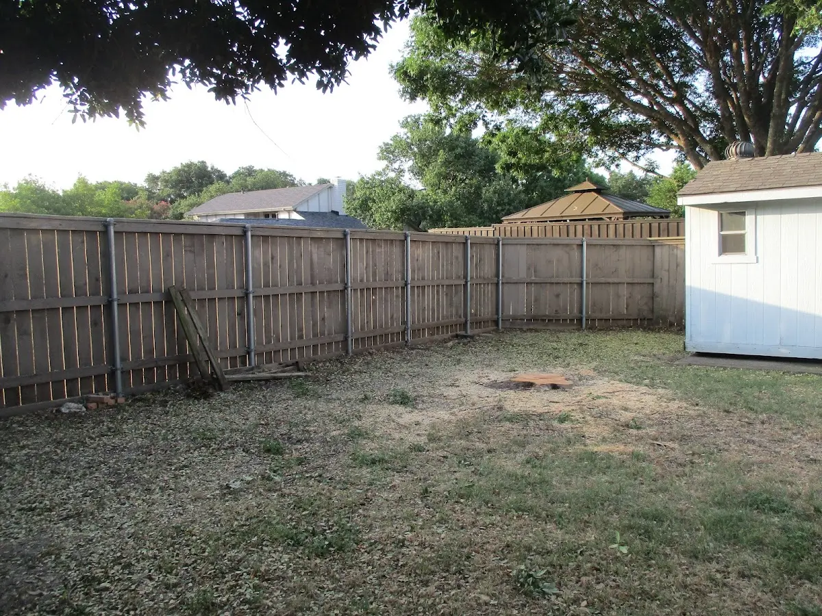 Cleared yard after professional tree removal in Meriden